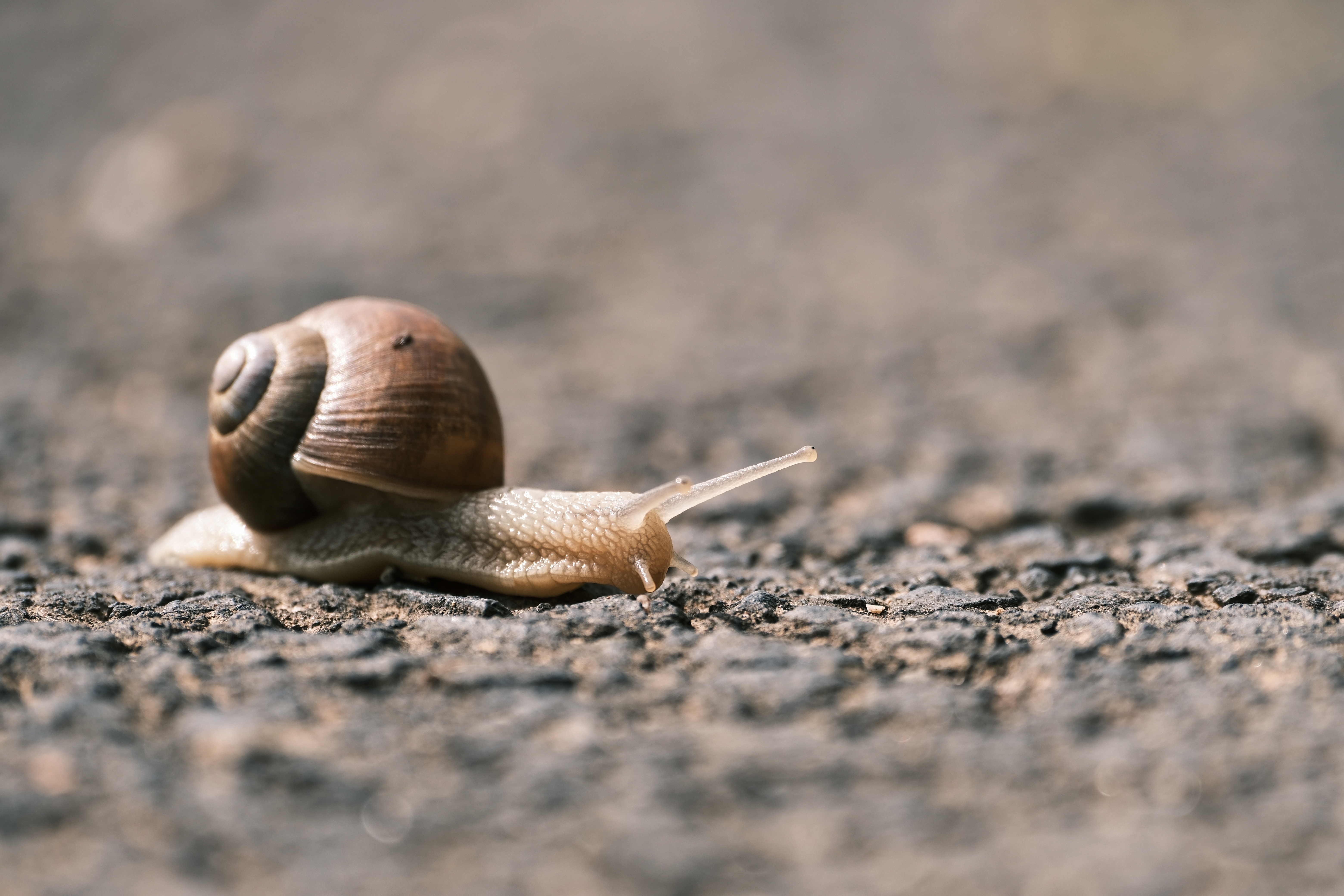 FUJI2960_1