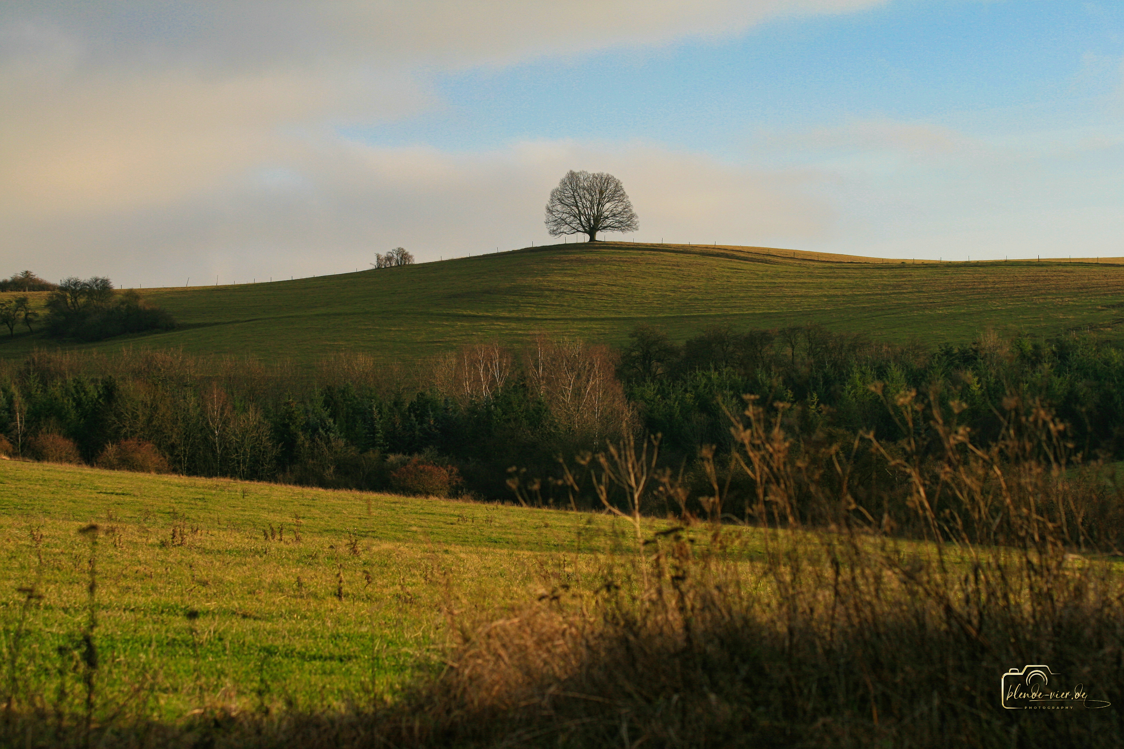 Herbst-1