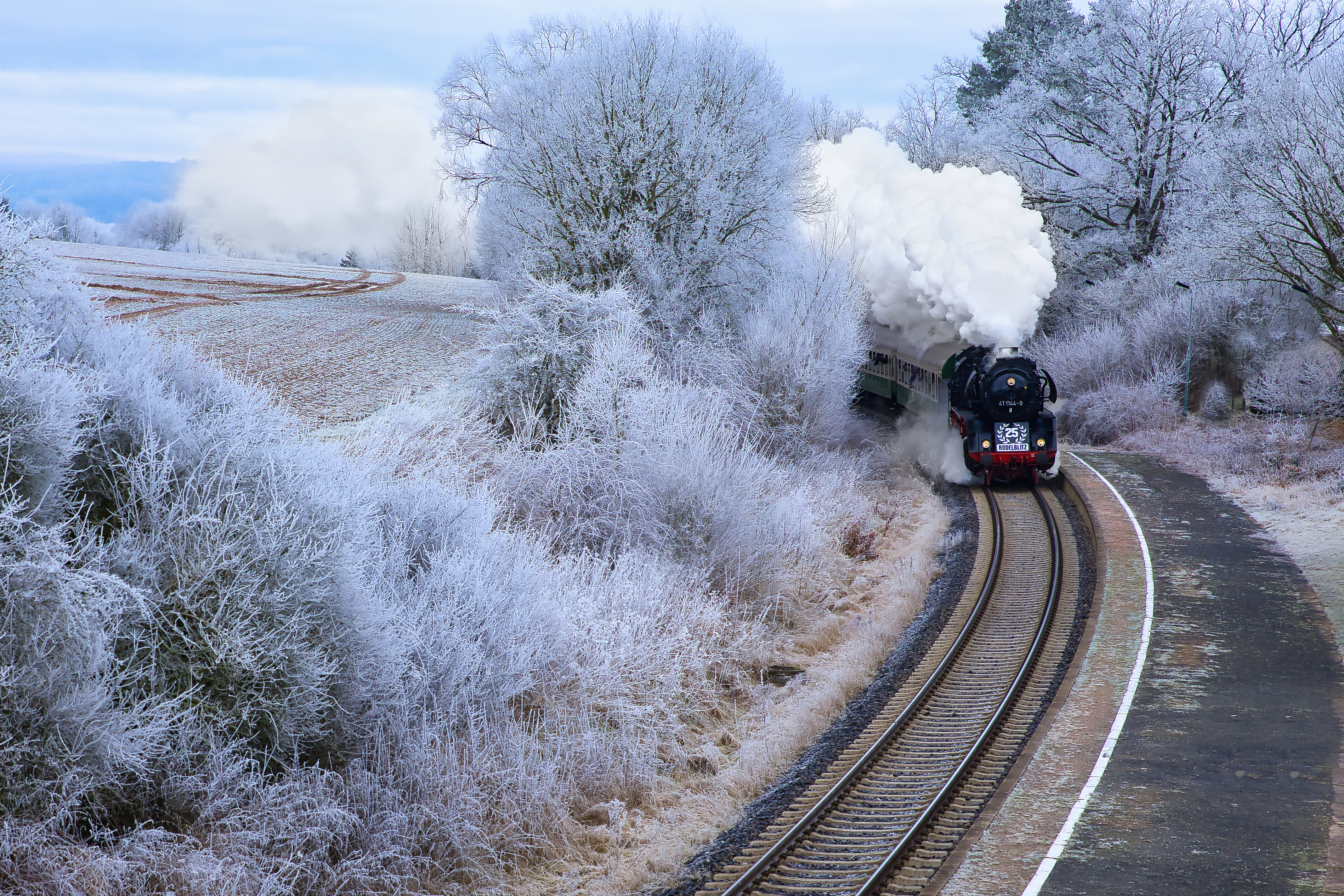 R62_0737_crop_1