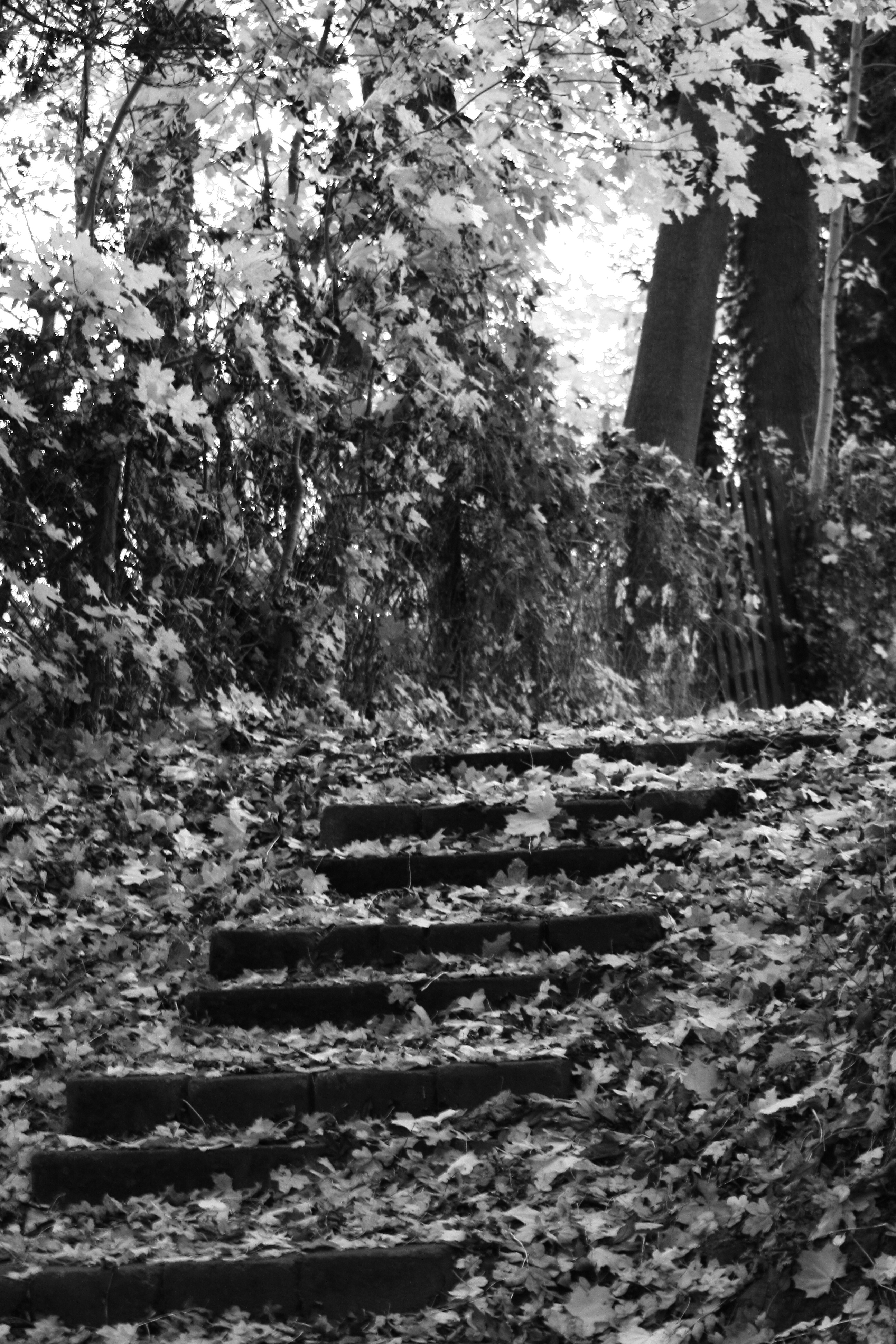 around_us-11