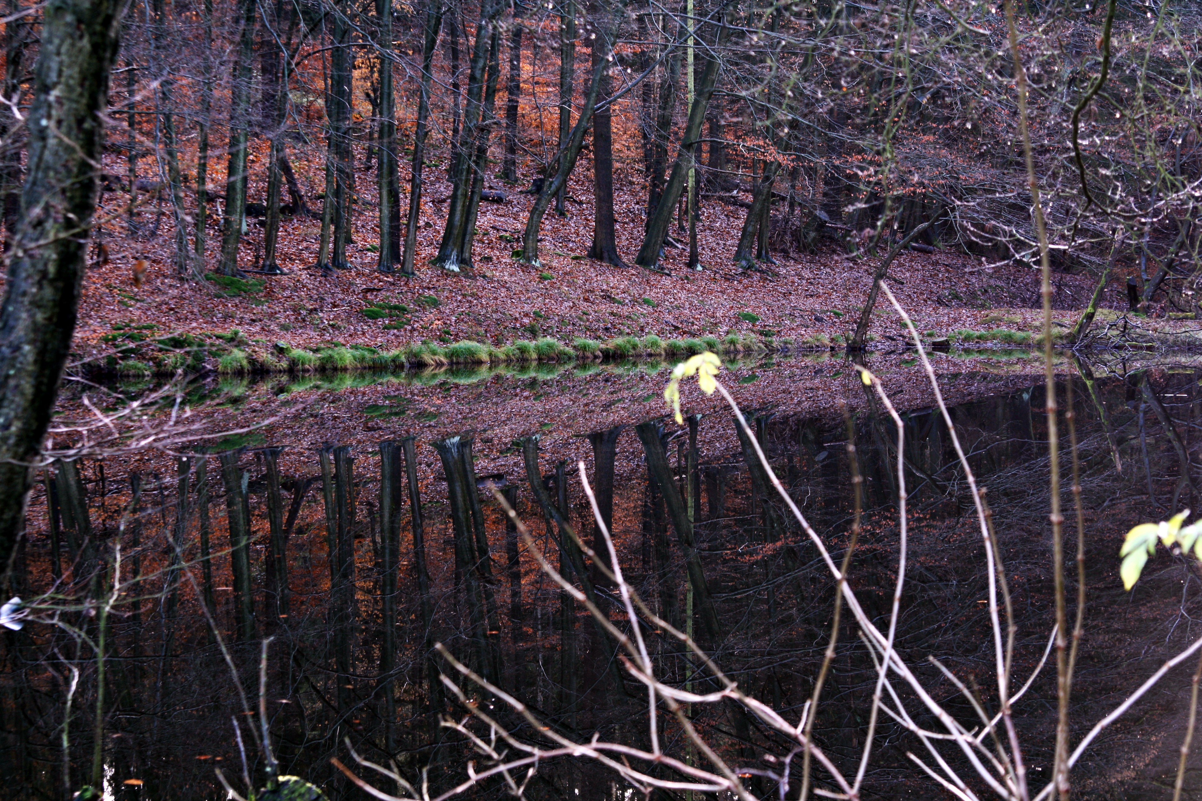 around_us-2
