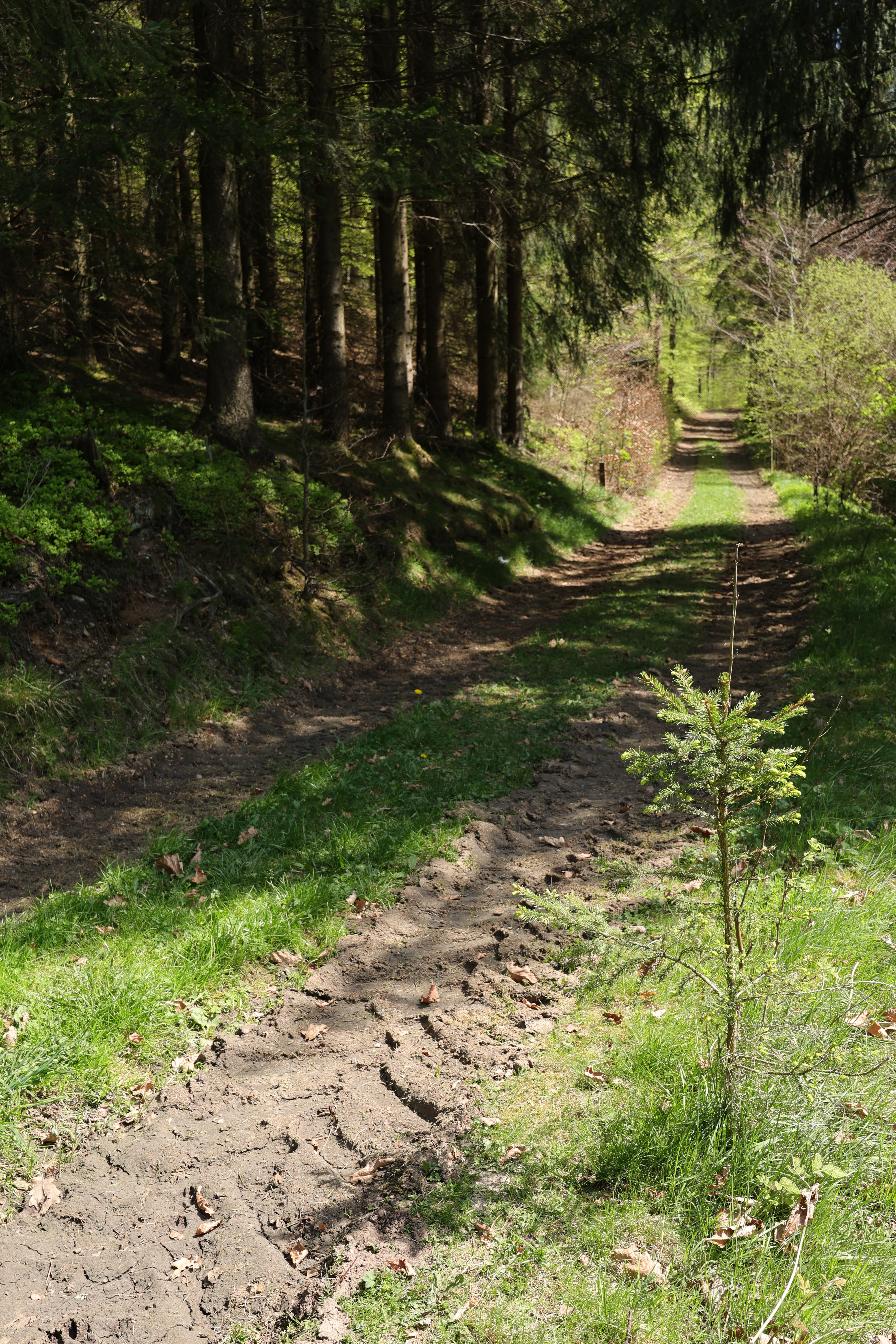 around_us-25