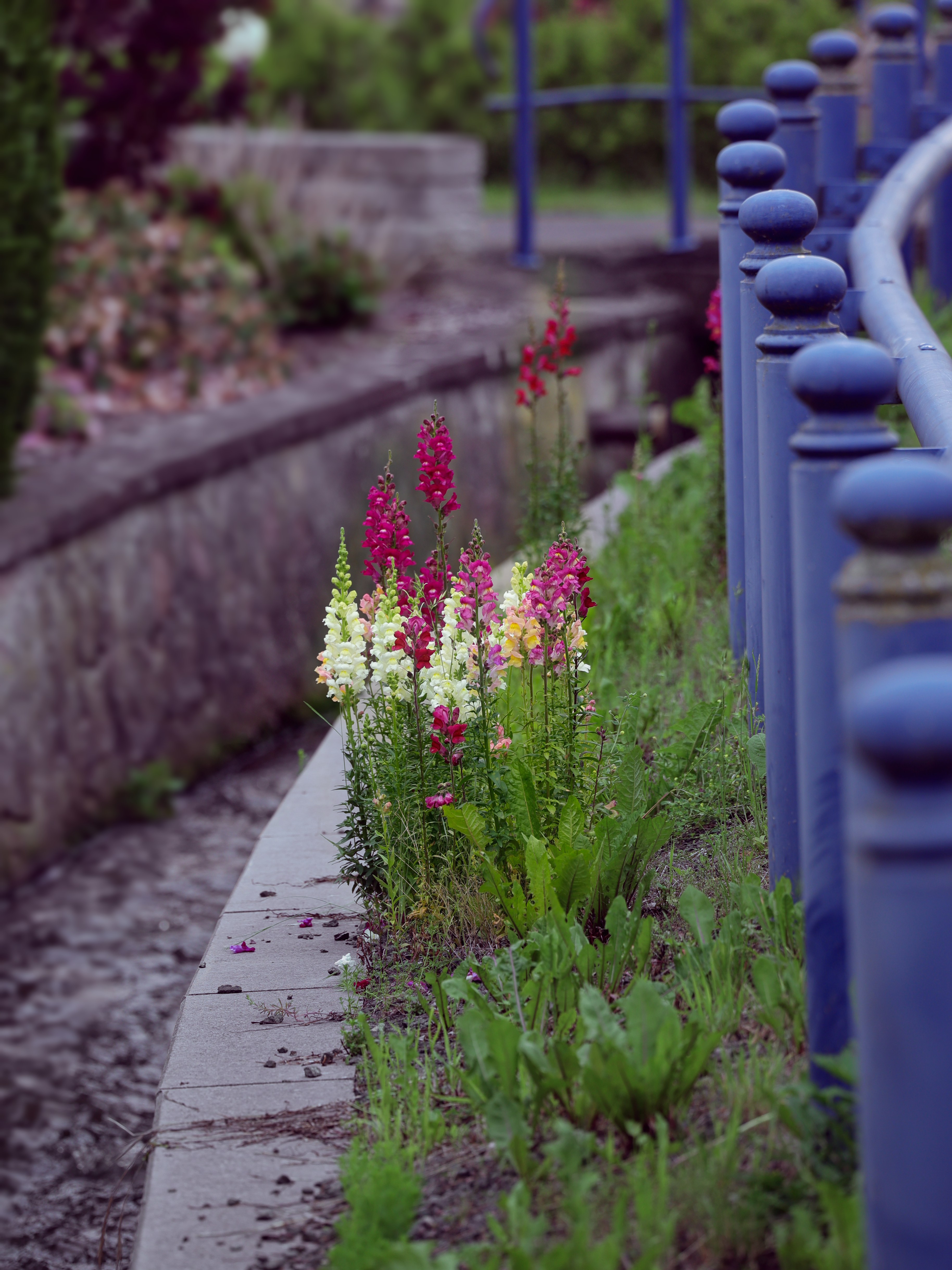 around_us-28