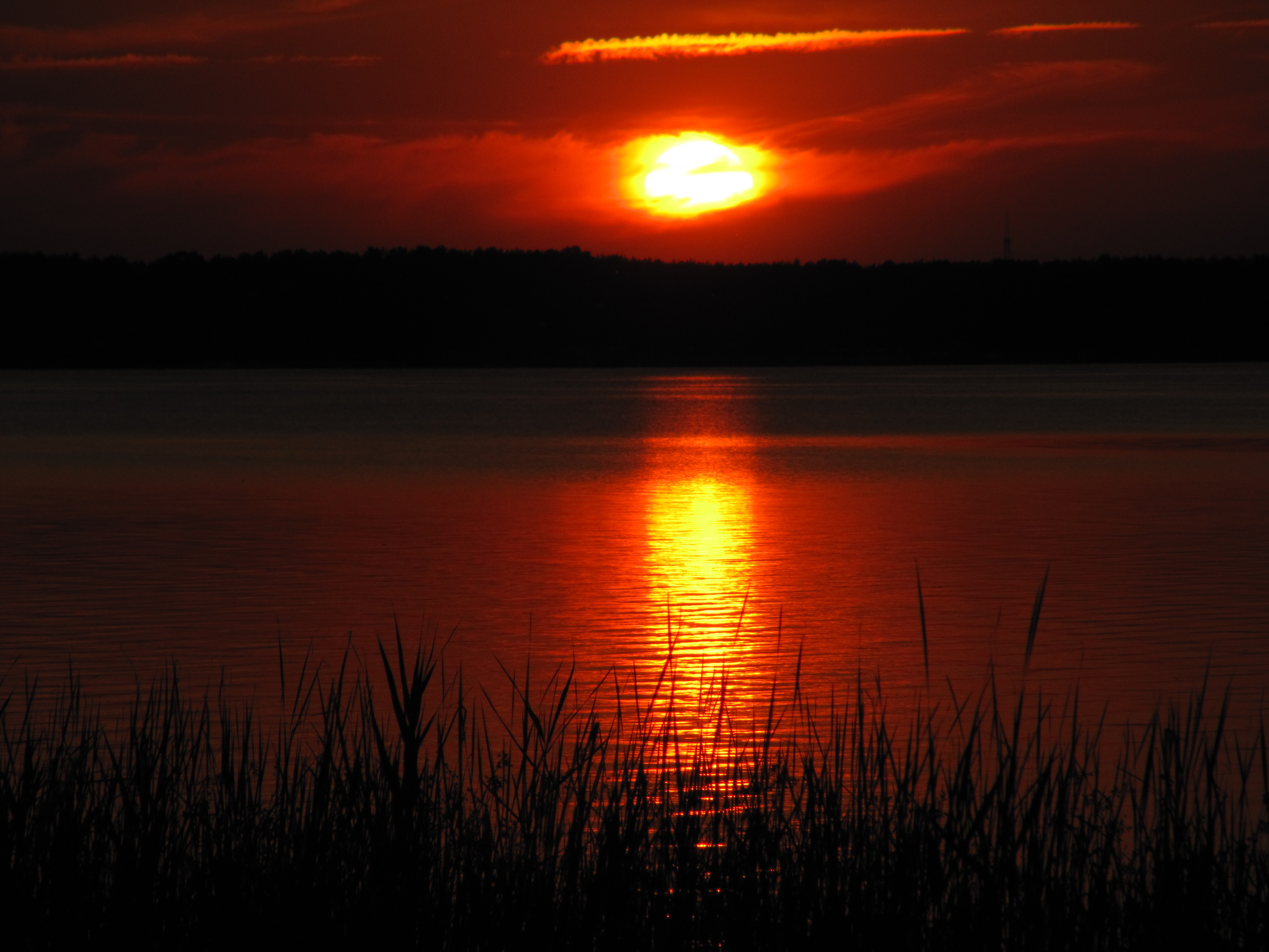 around_us-30