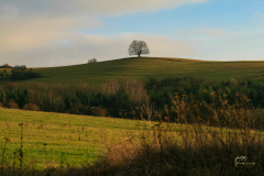Herbst-1