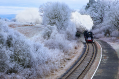 R62_0737_crop_1