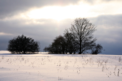 around_us-13