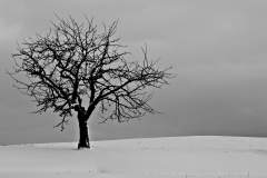 around_us-14