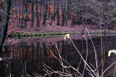 around_us-2