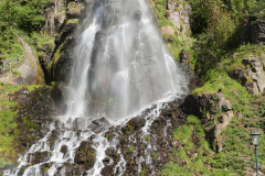 around_us-24