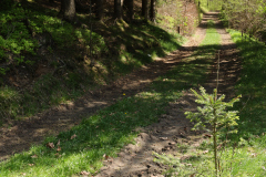 around_us-25