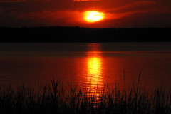 around_us-30
