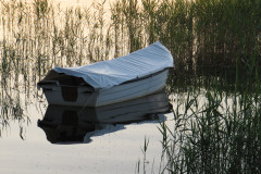 around_us-5