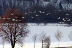 around_us-7