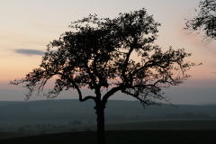 around_us-9