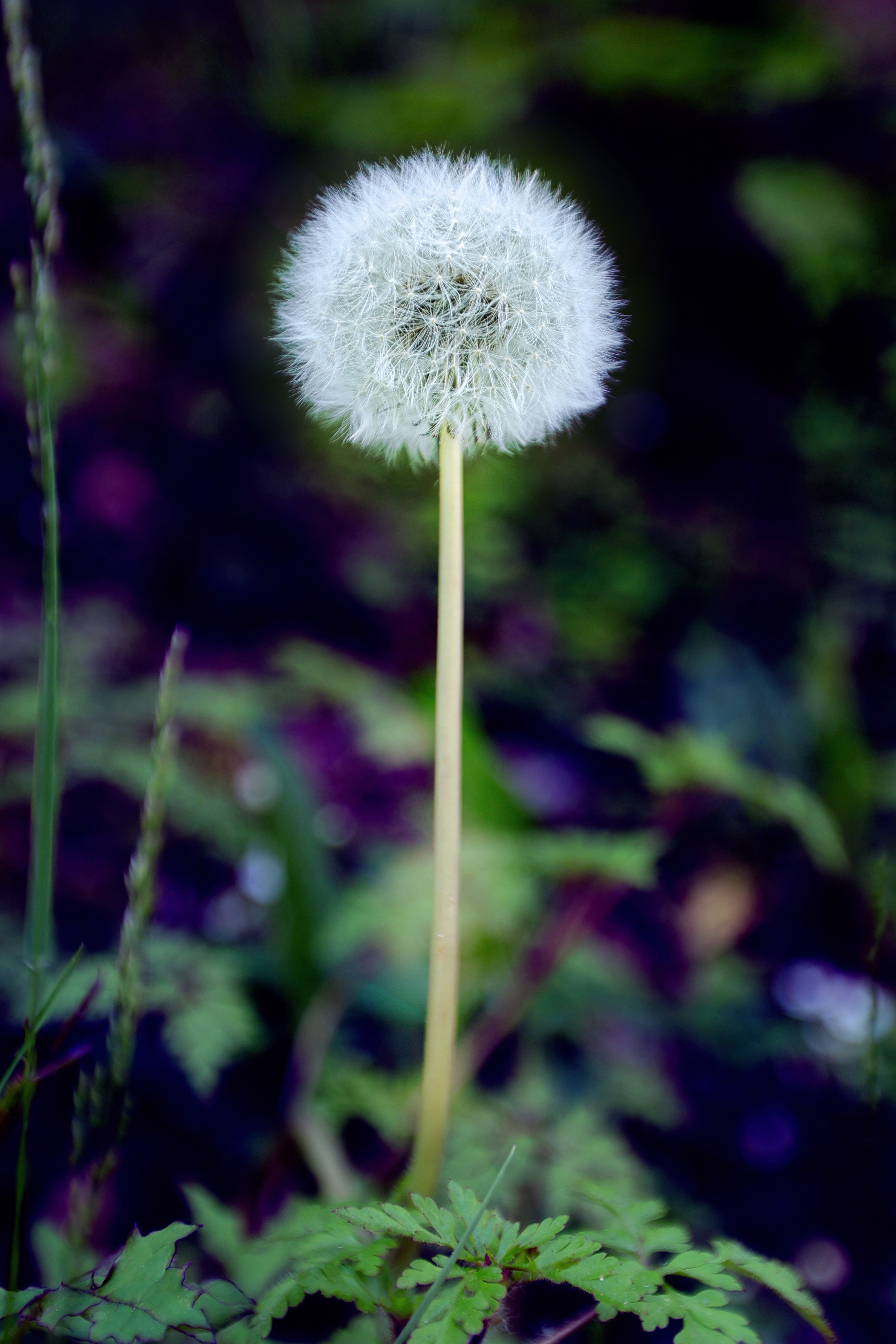 beauty-of-nature-1