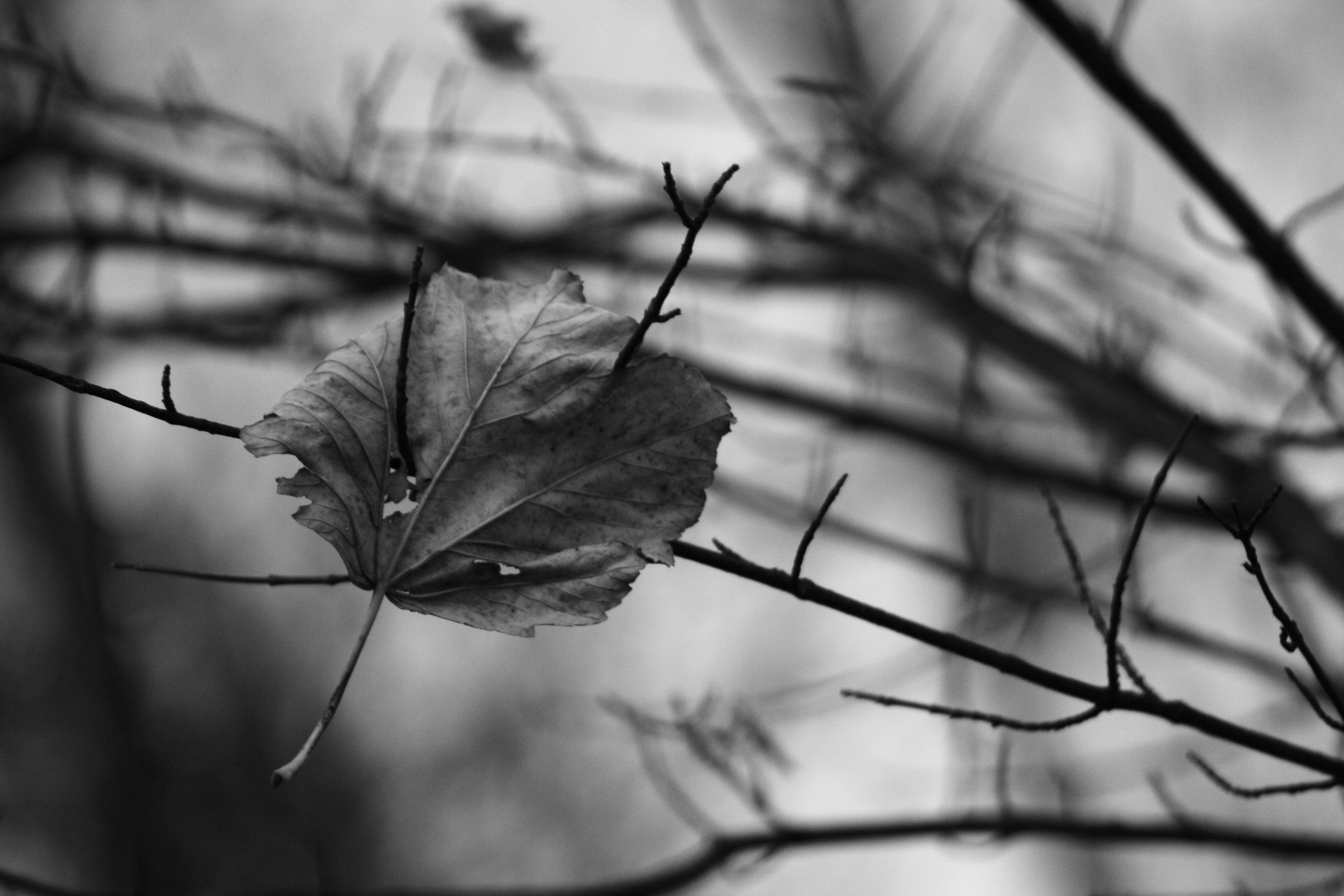 beauty-of-nature-7