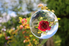 beauty-of-nature-47
