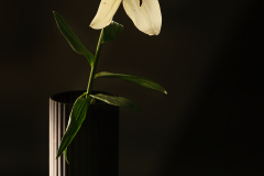FUJI1282_1